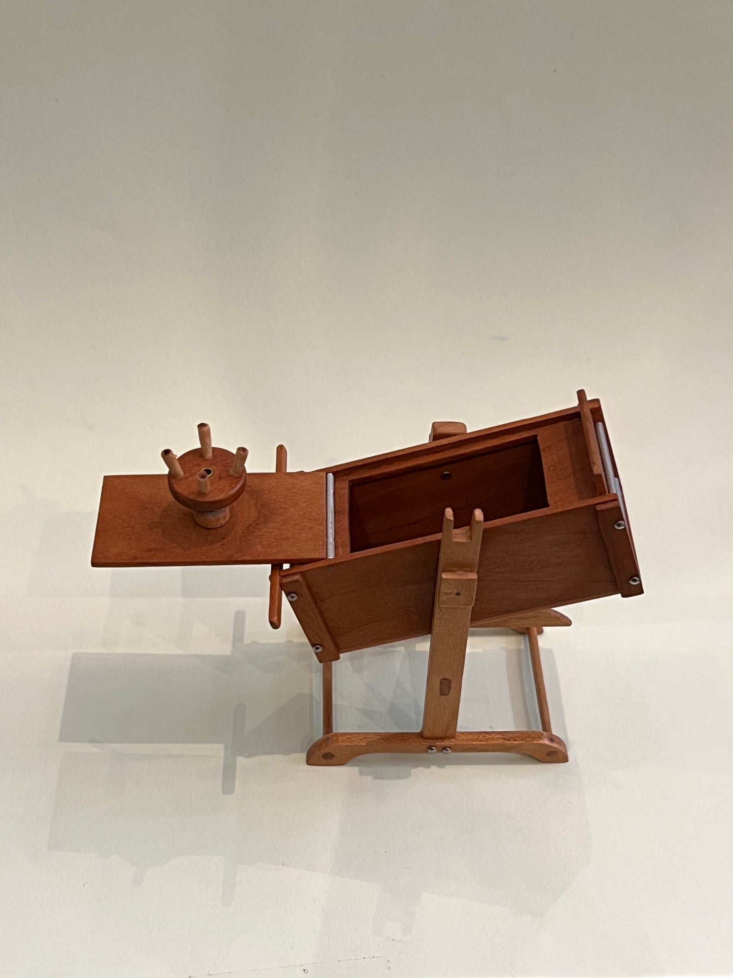 Bookcase with cat