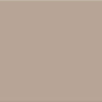 Acryl verf Dusty Brown
