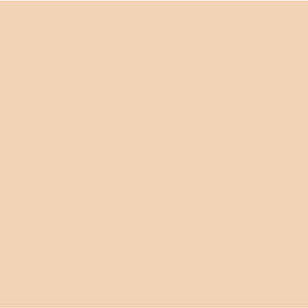 Acryl verf Georgia Peach