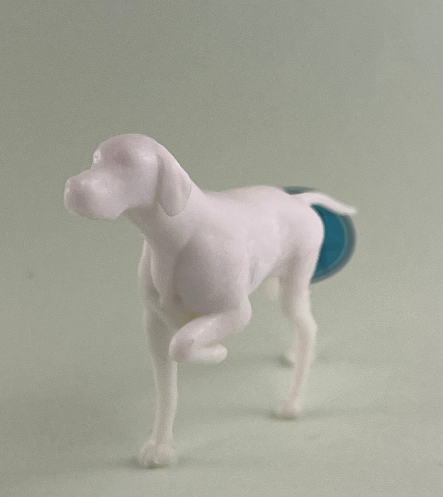 Honden