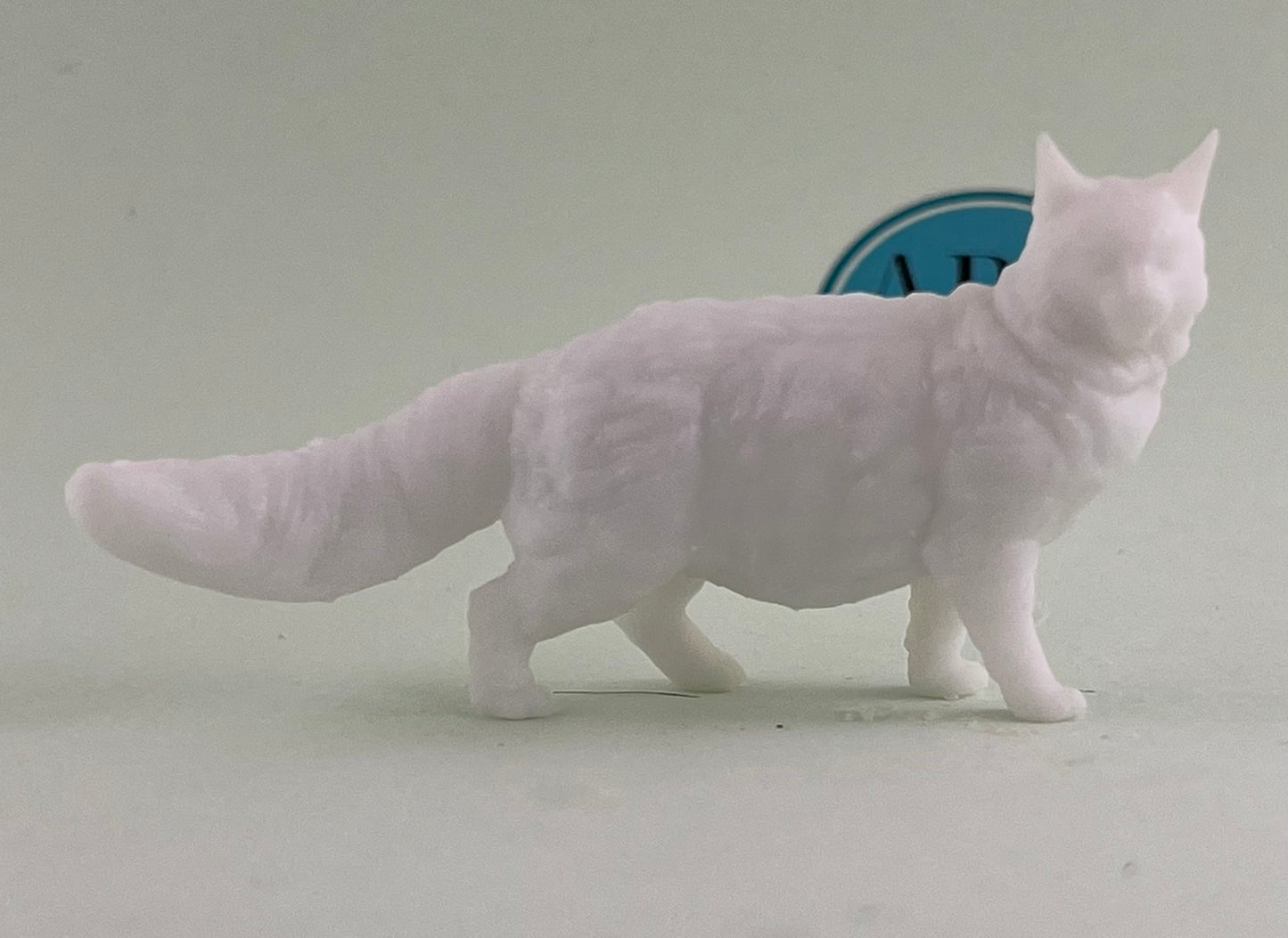 Katzen