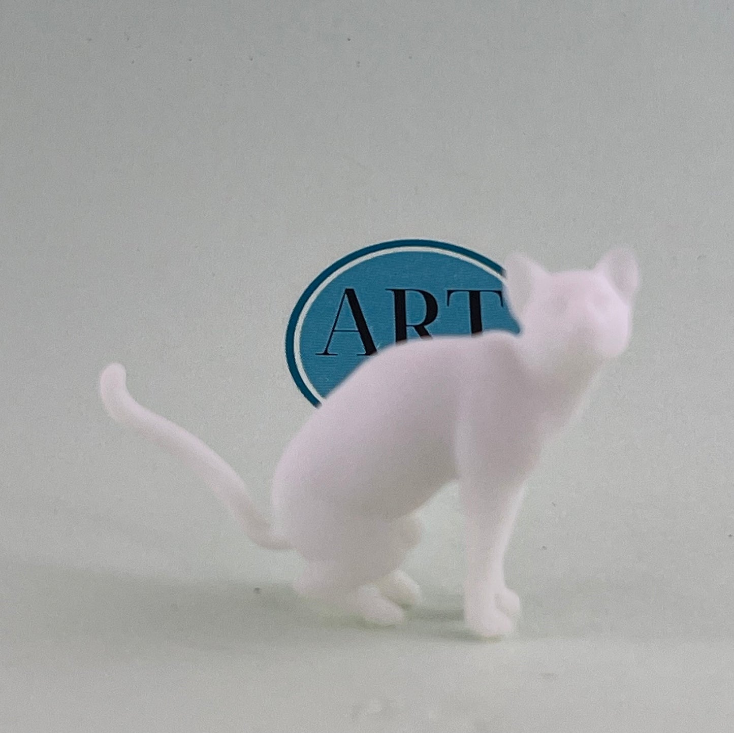Katzen