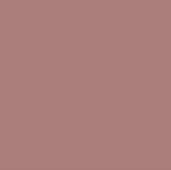 Acryl verf Amstom Rose
