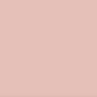 Acryl verf Raspberry