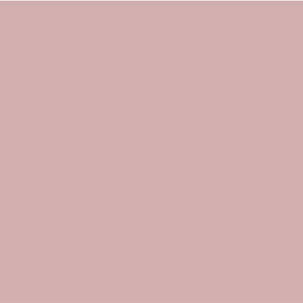 Acryl verf Rose